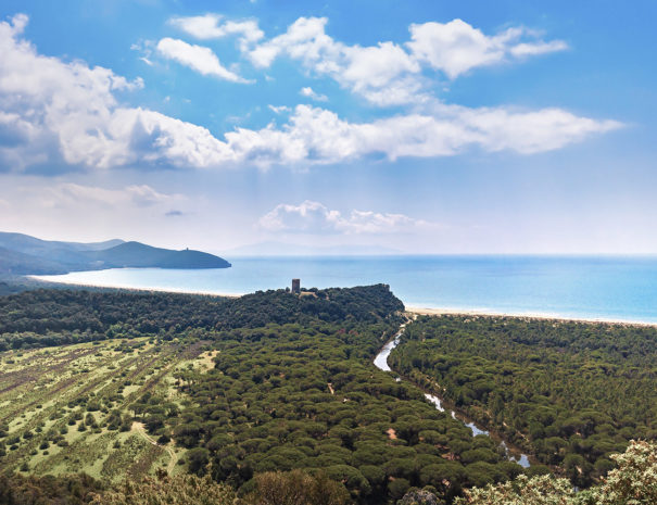 Panoramic view of Maremma Regional Park also known as Uccellina Park. Tower, forest and sea coast. Tuscany, Italy Europe.